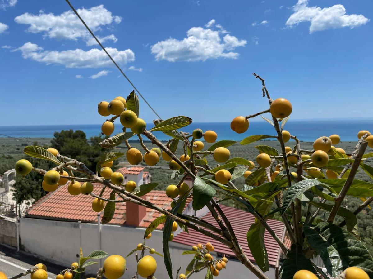Villetta - Qui Dove Il Mare Luccica - Affitti Brevi Italia モンテ・サンタンジェロ エクステリア 写真