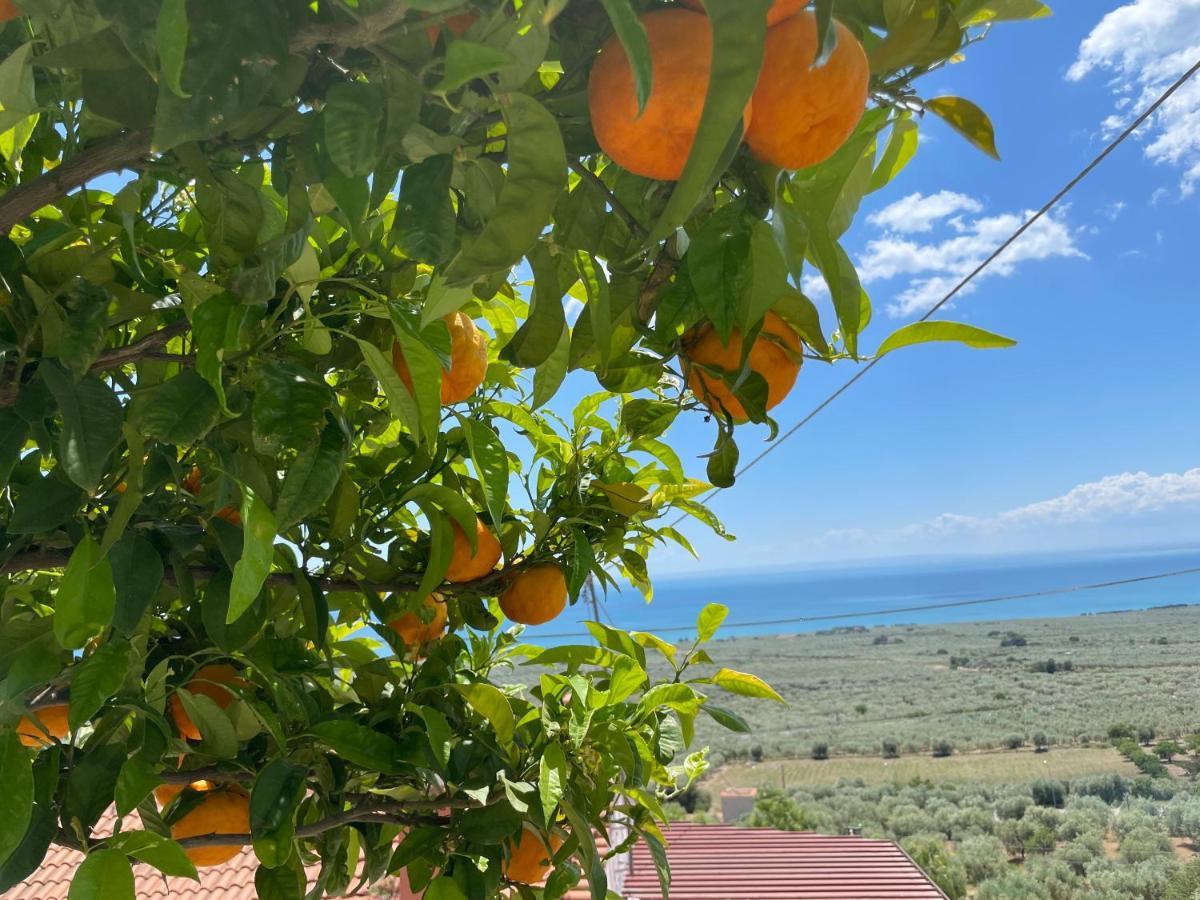 Villetta - Qui Dove Il Mare Luccica - Affitti Brevi Italia モンテ・サンタンジェロ エクステリア 写真